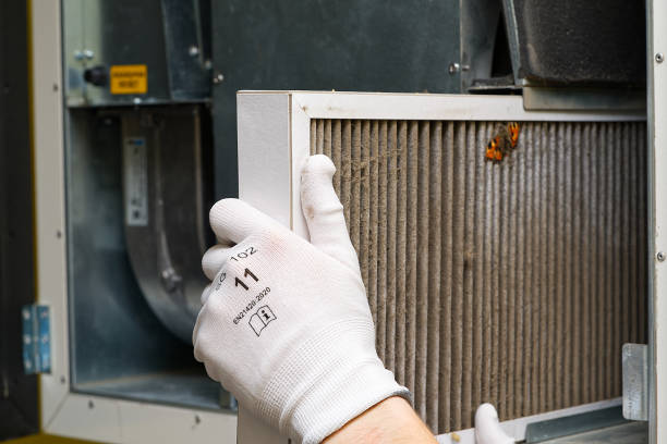 Best Commercial HVAC Duct Cleaning  in White City, FL
