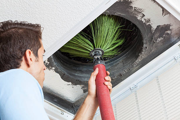 Best Affordable Duct Cleaning Services  in White City, FL