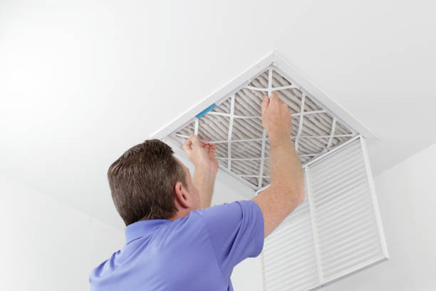 Best Local Air Duct Cleaning Services  in White City, FL